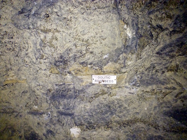 oolitic roofbeds